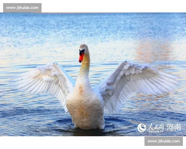 欢畅产驹登顶天鹅锦标,锁定生涯第二重赏冠