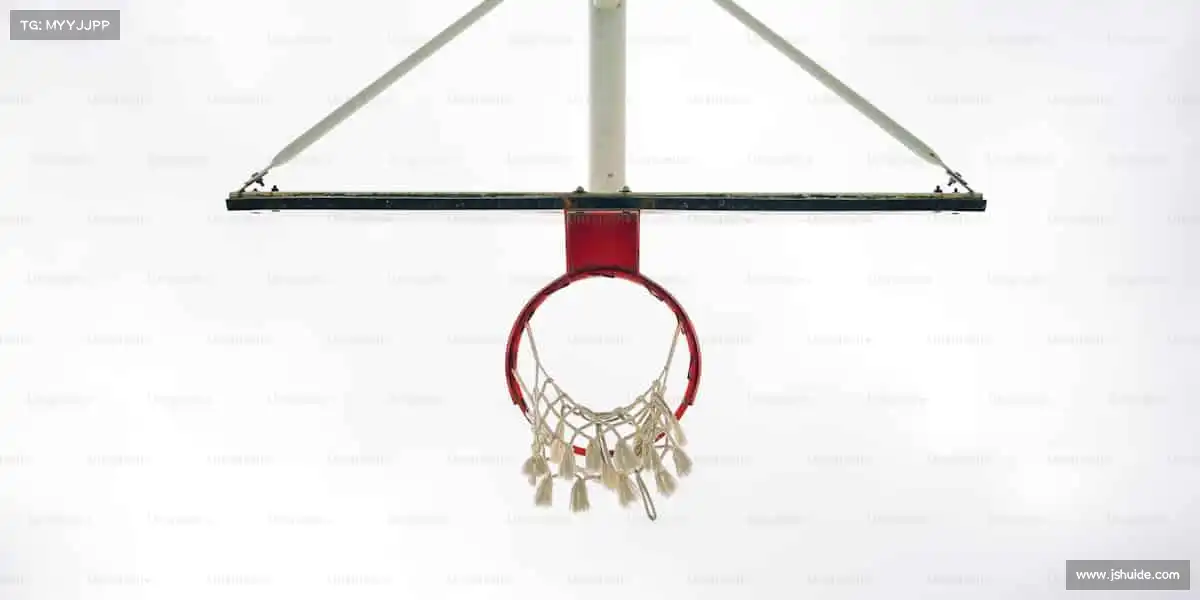 行业领先的理由